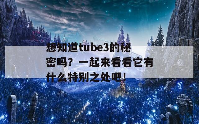 想知道tube3的秘密吗？一起来看看它有什么特别之处吧！