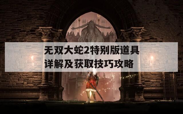 无双大蛇2特别版道具详解及获取技巧攻略