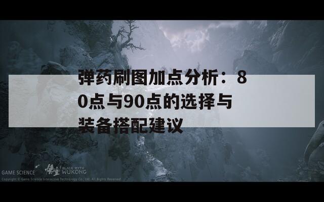 弹药刷图加点分析：80点与90点的选择与装备搭配建议