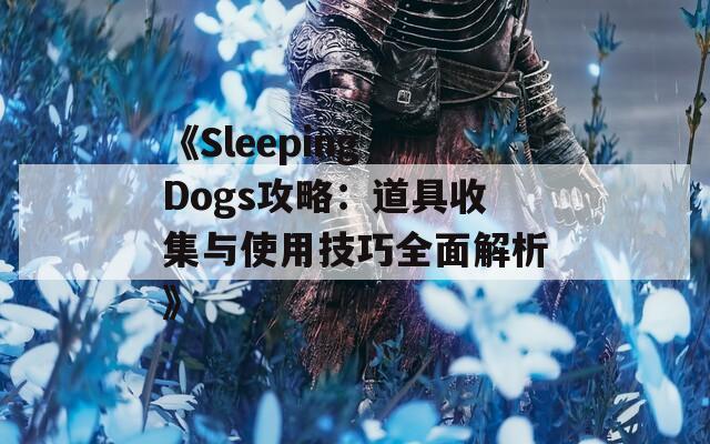 《Sleeping Dogs攻略：道具收集与使用技巧全面解析》