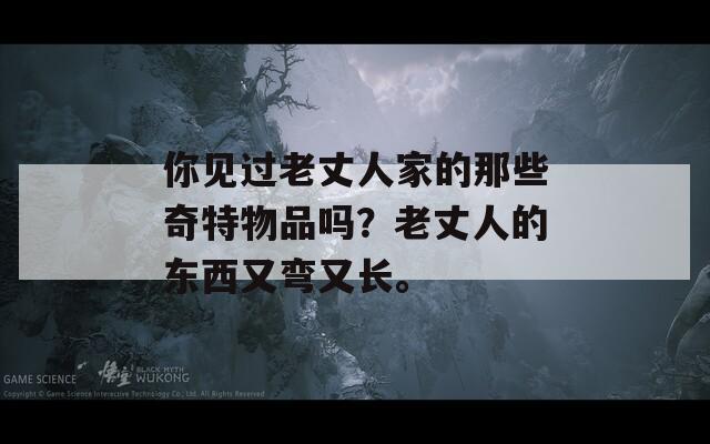 你见过老丈人家的那些奇特物品吗？老丈人的东西又弯又长。