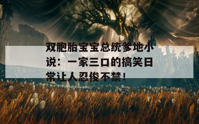 双胞胎宝宝总统爹地小说：一家三口的搞笑日常让人忍俊不禁！