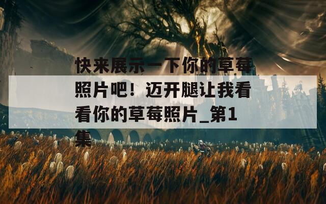 快来展示一下你的草莓照片吧！迈开腿让我看看你的草莓照片_第1集