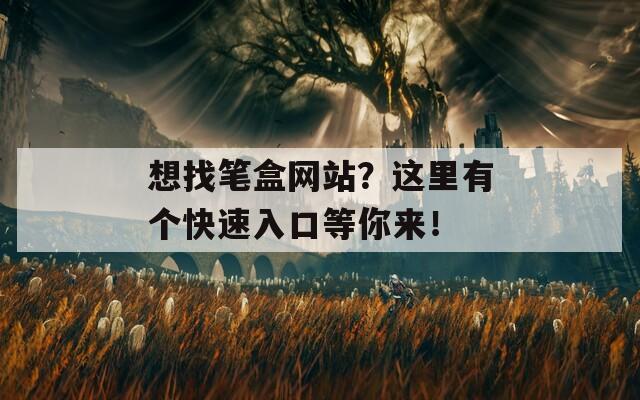 想找笔盒网站？这里有个快速入口等你来！