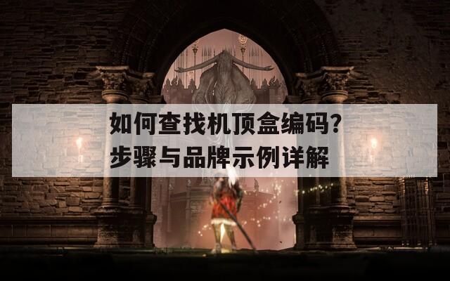 如何查找机顶盒编码？步骤与品牌示例详解