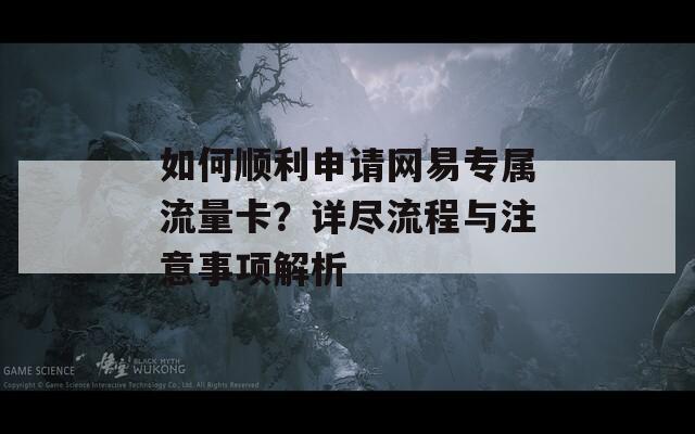 如何顺利申请网易专属流量卡？详尽流程与注意事项解析