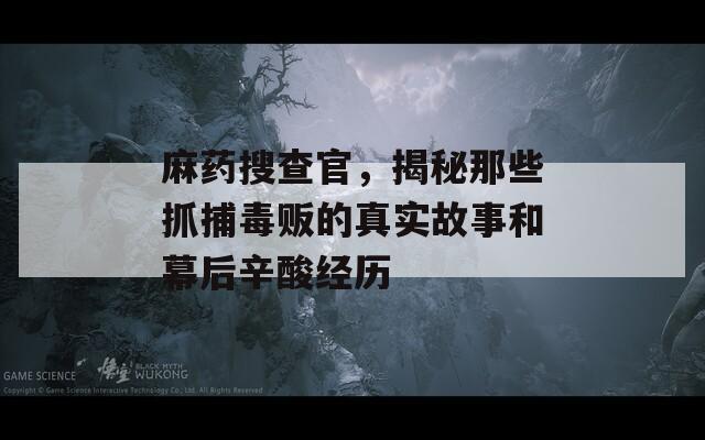 麻药搜查官，揭秘那些抓捕毒贩的真实故事和幕后辛酸经历