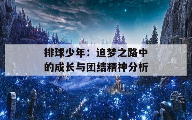 排球少年：追梦之路中的成长与团结精神分析