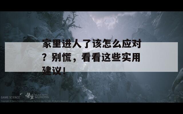 家里进人了该怎么应对？别慌，看看这些实用建议！