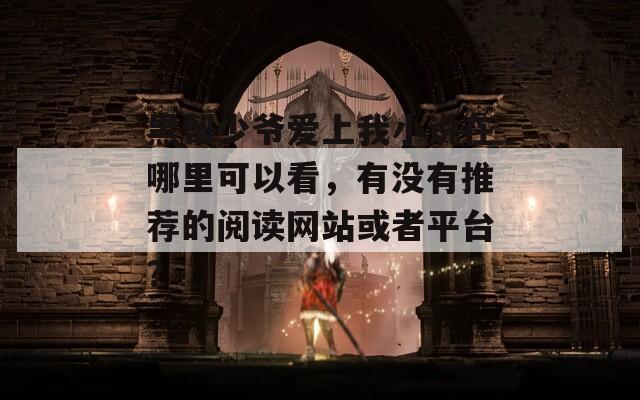 黑帮少爷爱上我小说在哪里可以看，有没有推荐的阅读网站或者平台？