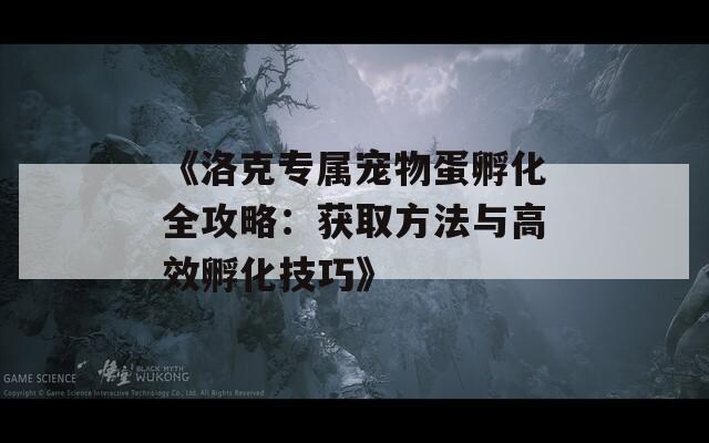 《洛克专属宠物蛋孵化全攻略：获取方法与高效孵化技巧》