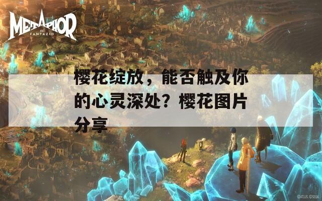 樱花绽放，能否触及你的心灵深处？樱花图片分享