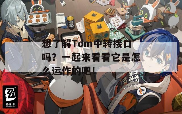 想了解Tom中转接口吗？一起来看看它是怎么运作的吧！