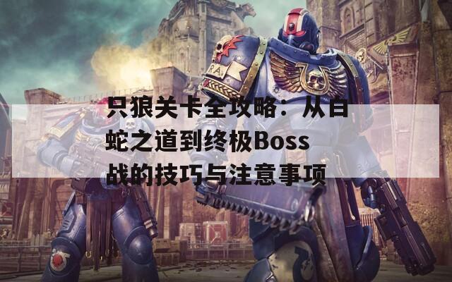 只狼关卡全攻略：从白蛇之道到终极Boss战的技巧与注意事项