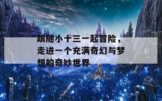 跟随小十三一起冒险，走进一个充满奇幻与梦想的奇妙世界