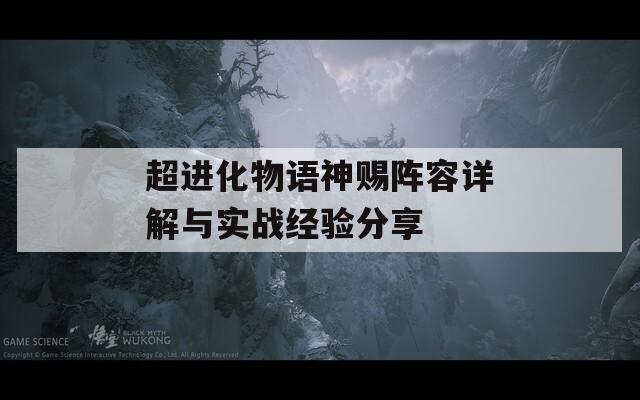 超进化物语神赐阵容详解与实战经验分享